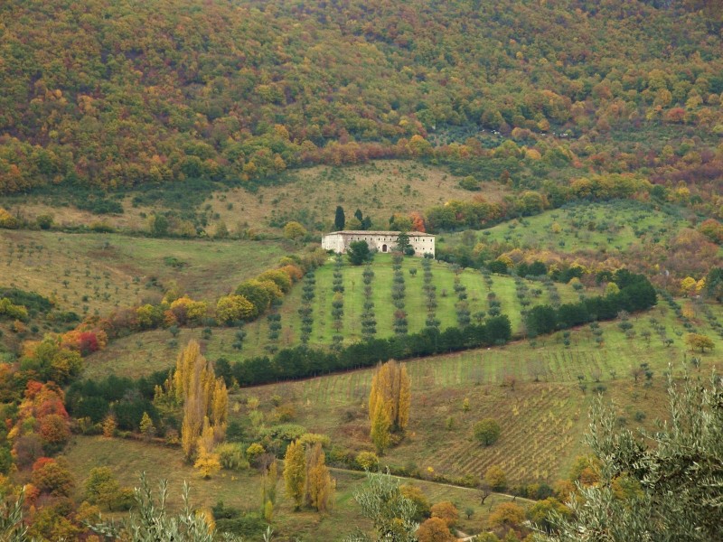 Sabina sublime-Dettagli d''autunno